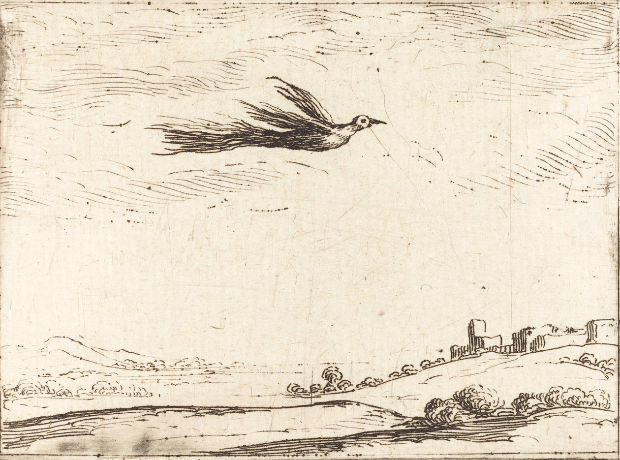 Paradicsom madár alkotó: Jacques Callot