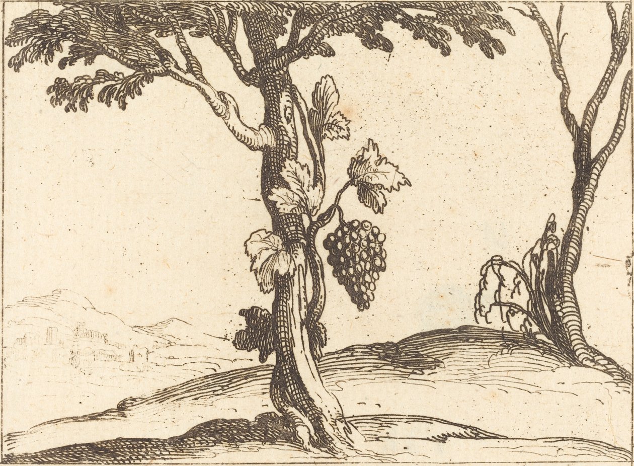 Szőlőfürt alkotó: Jacques Callot