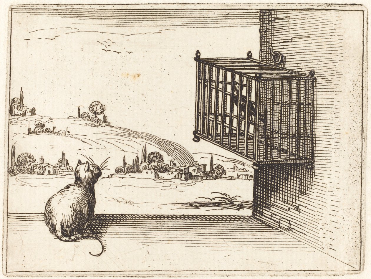 Macska figyeli a ketrecbe zárt madarat alkotó: Jacques Callot