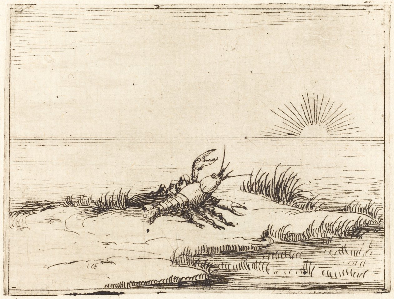 Rák nézi a napot alkotó: Jacques Callot