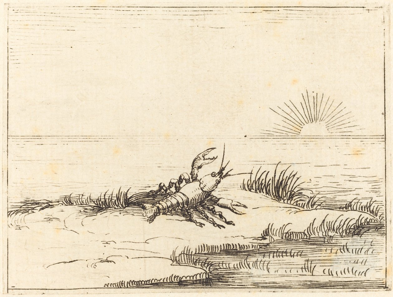 Rák nézi a napot alkotó: Jacques Callot