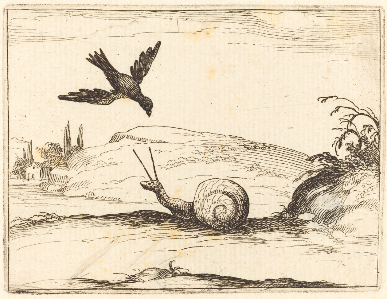 Varjú és csiga alkotó: Jacques Callot
