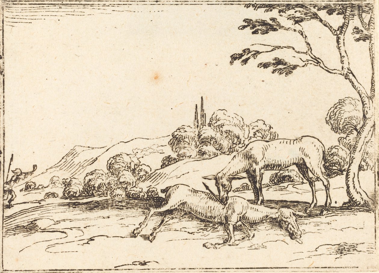 Doe Gyászolja csikóját. alkotó: Jacques Callot