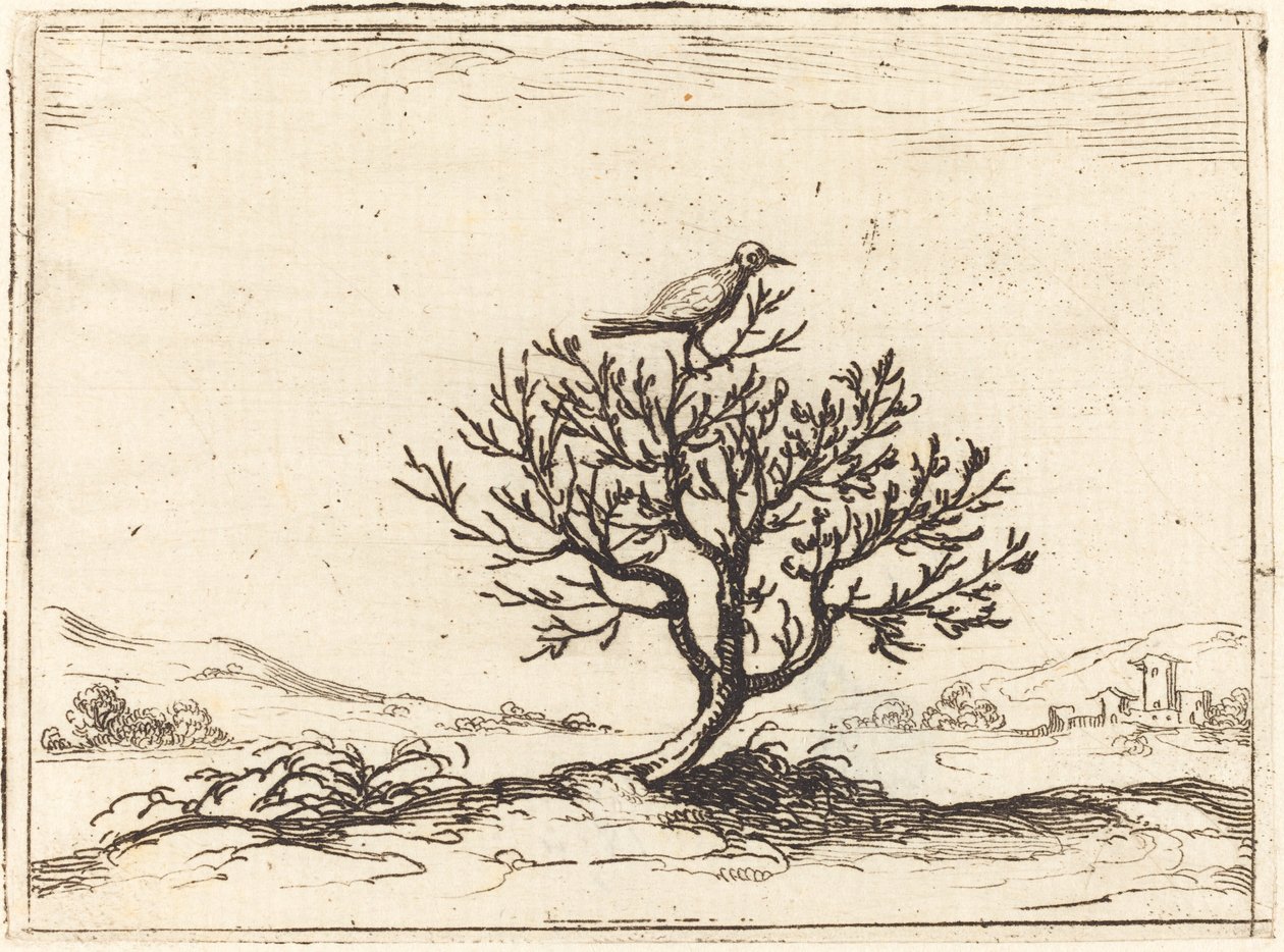 Nightingale a bokorban alkotó: Jacques Callot