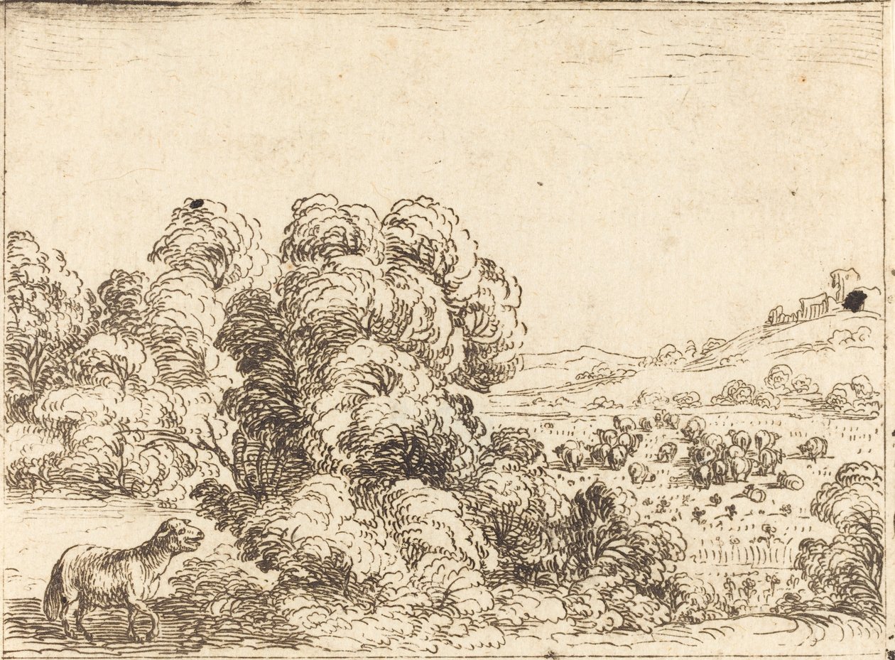 Bárány hívó bárány alkotó: Jacques Callot