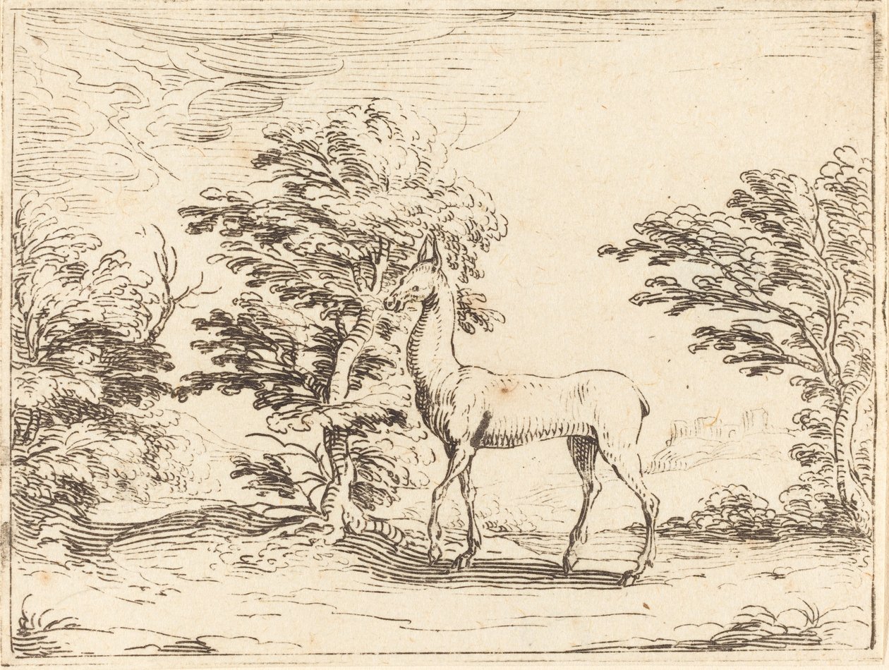 Az őzike alkotó: Jacques Callot