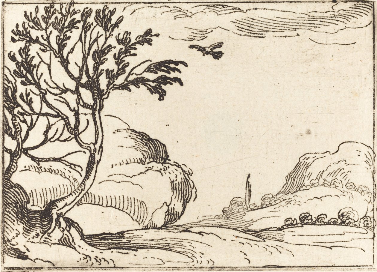 Turtle galamb repül a sivatagban alkotó: Jacques Callot