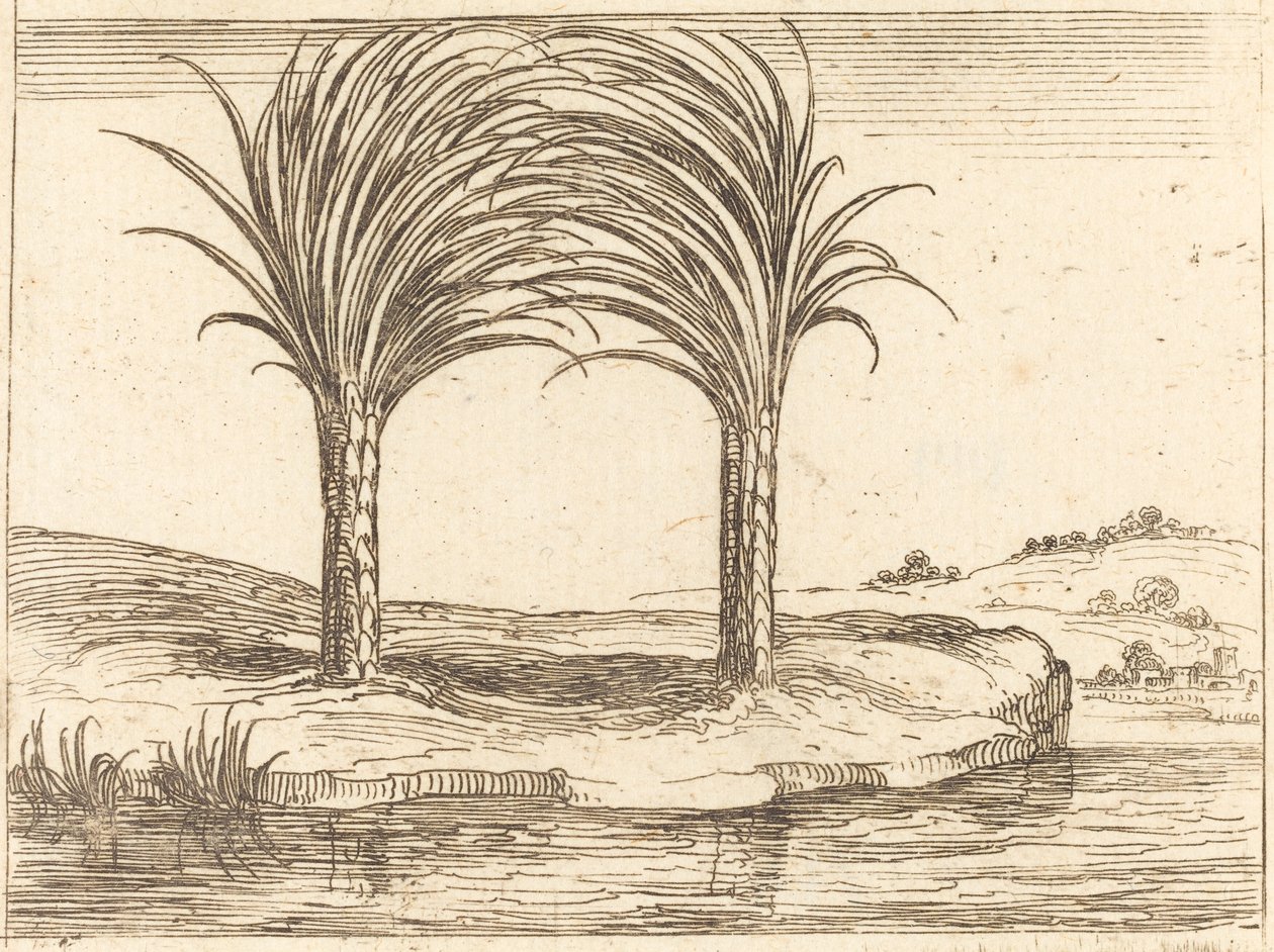 Két pálmafa alkotó: Jacques Callot