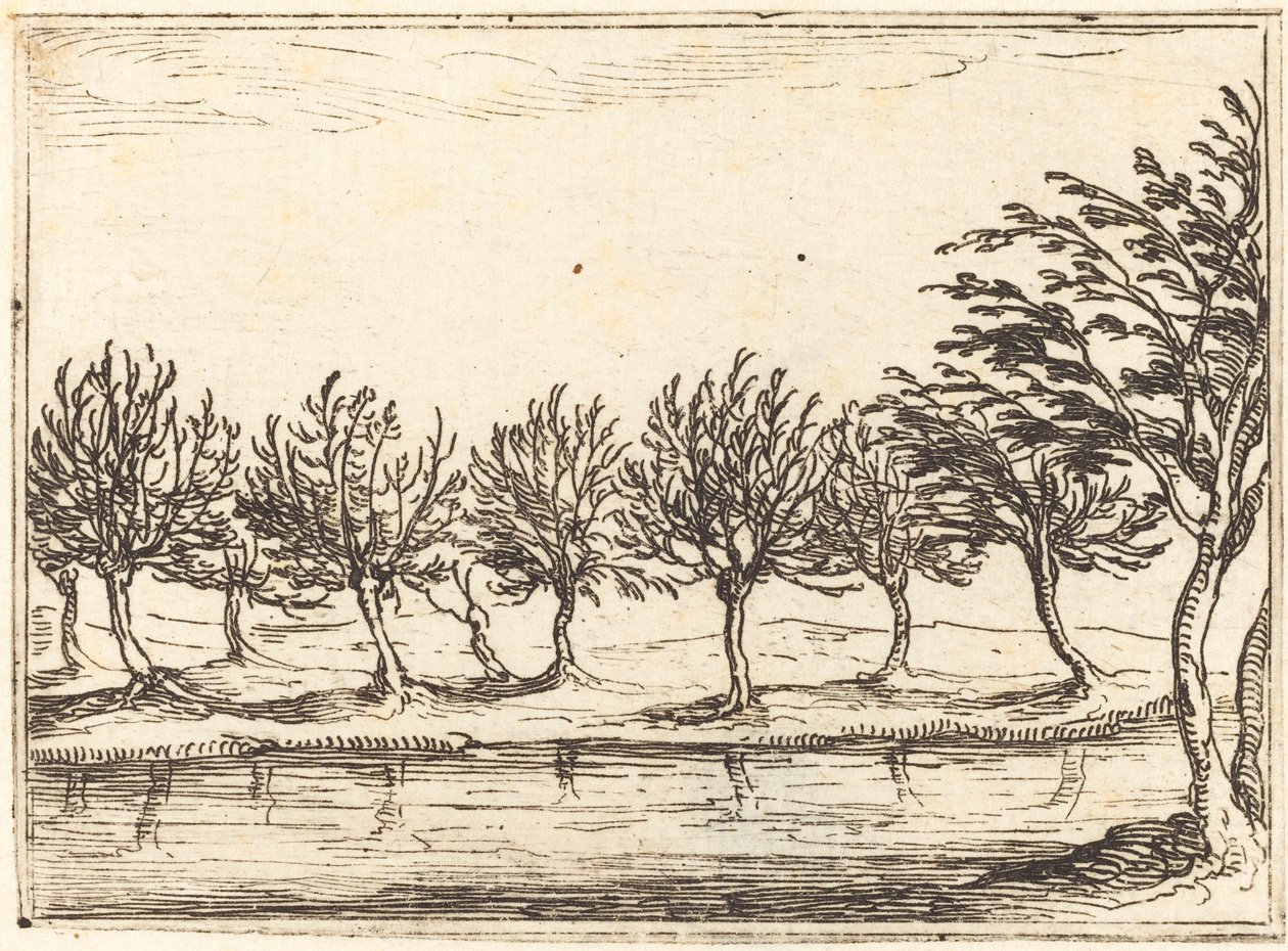 Fűzfa a víz szélén, 1628. alkotó: Jacques Callot