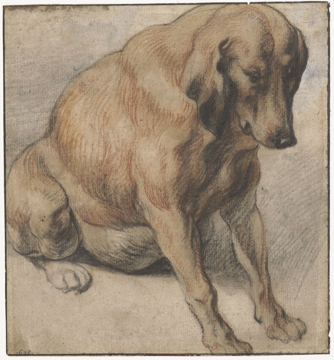 Ülő Kutya Ülő vemhes kutya alkotó: Jacques Jordaens