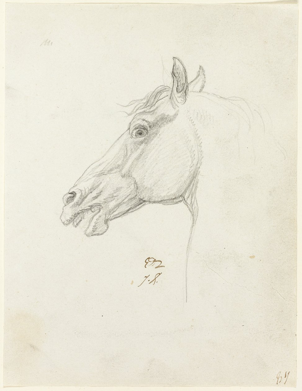 Lófej alkotó: Jacques Louis David