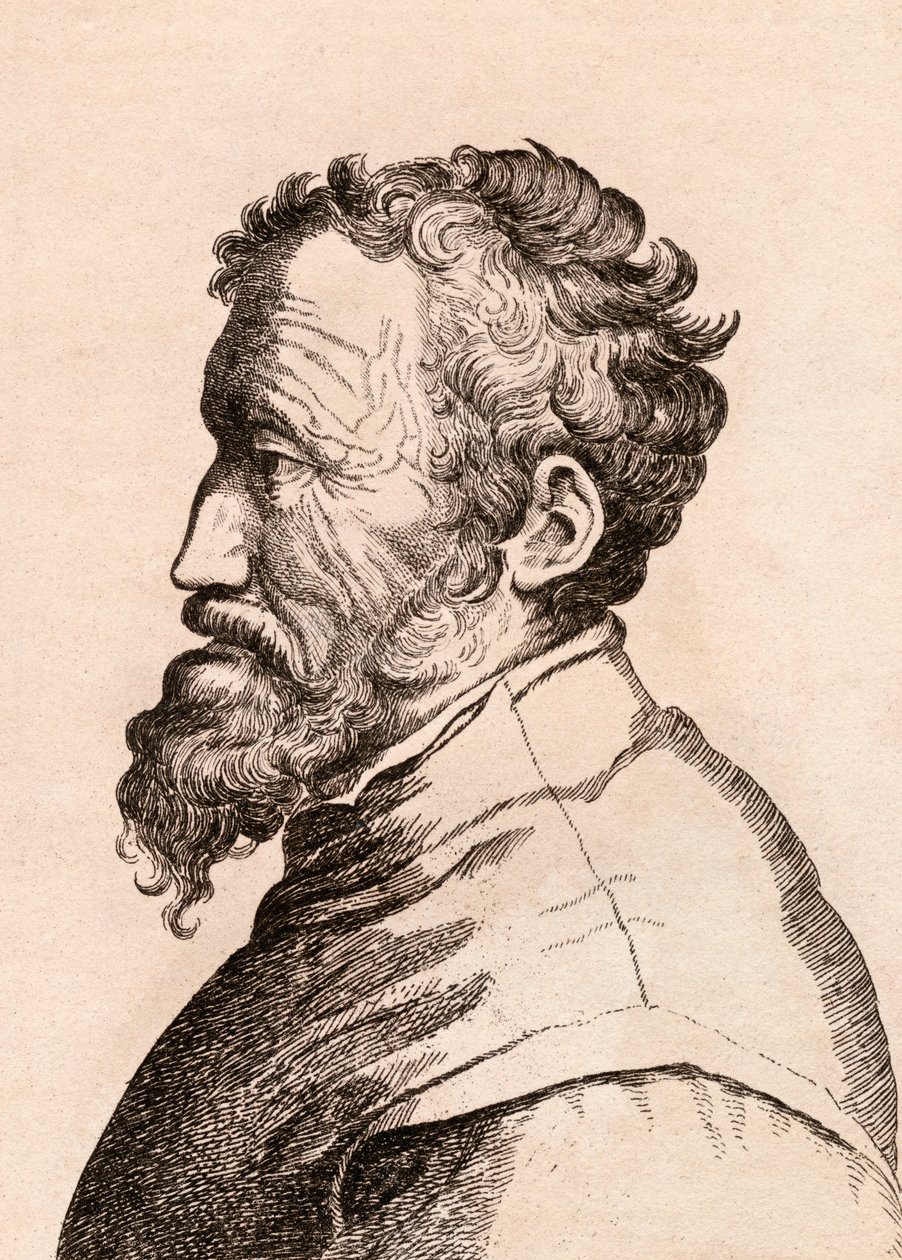 Michelangelo di Lodovico Buonarroti Simoni, illusztráció a „75 portréi híres festőkről hiteles eredetikről” címmel, Londonban, 1817. alkotó: James Girtin