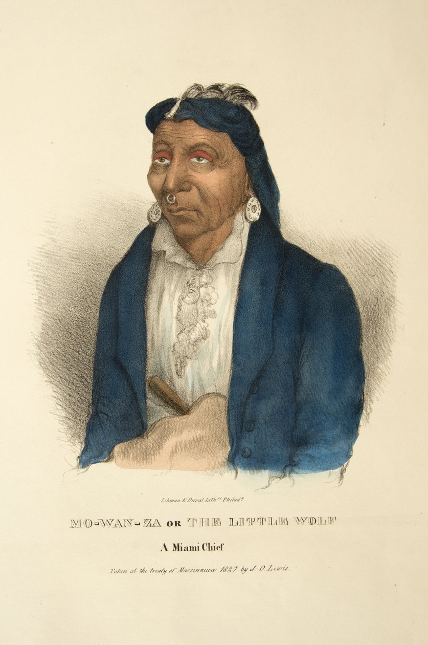 Mo-wan-za vagy A kis farkas alkotó: James Otto Lewis