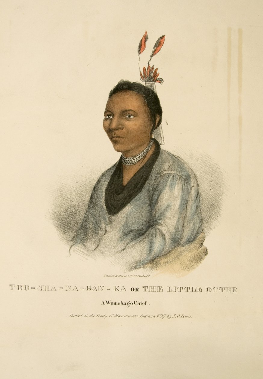Too-sha-na-gan-ka vagy A kis vidra alkotó: James Otto Lewis