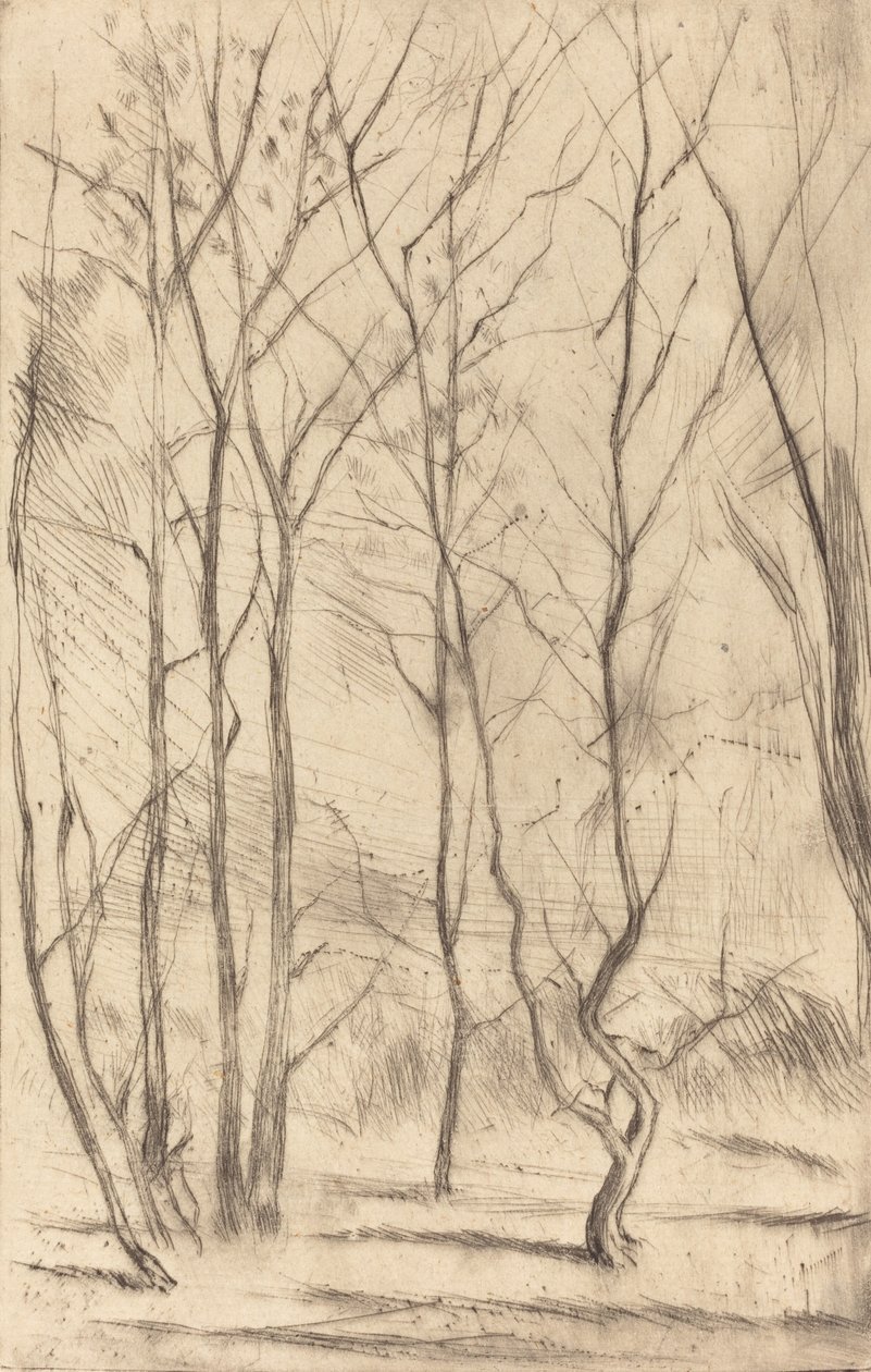 A Dam Wood, 1875. alkotó: James Abbott McNeill Whistler