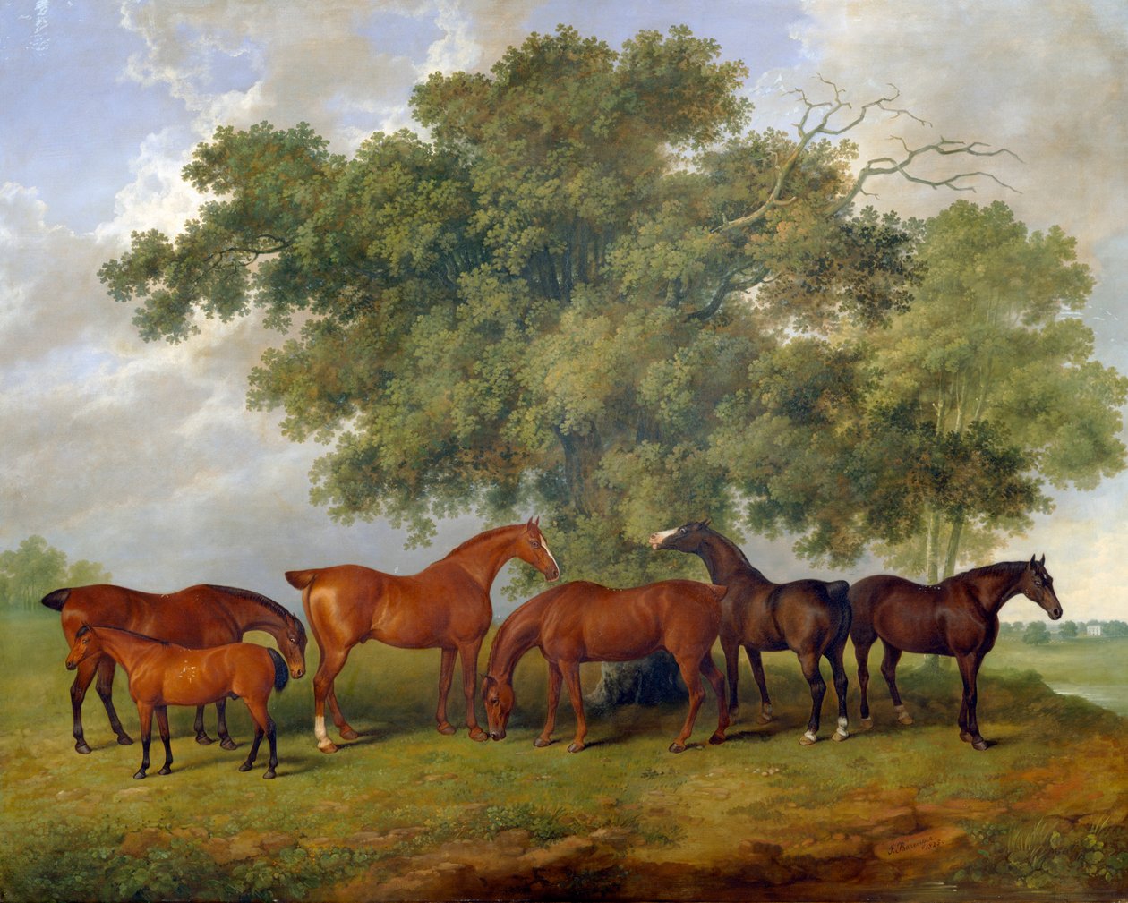 "Theobald Stud", 1825 alkotó: James Barenger