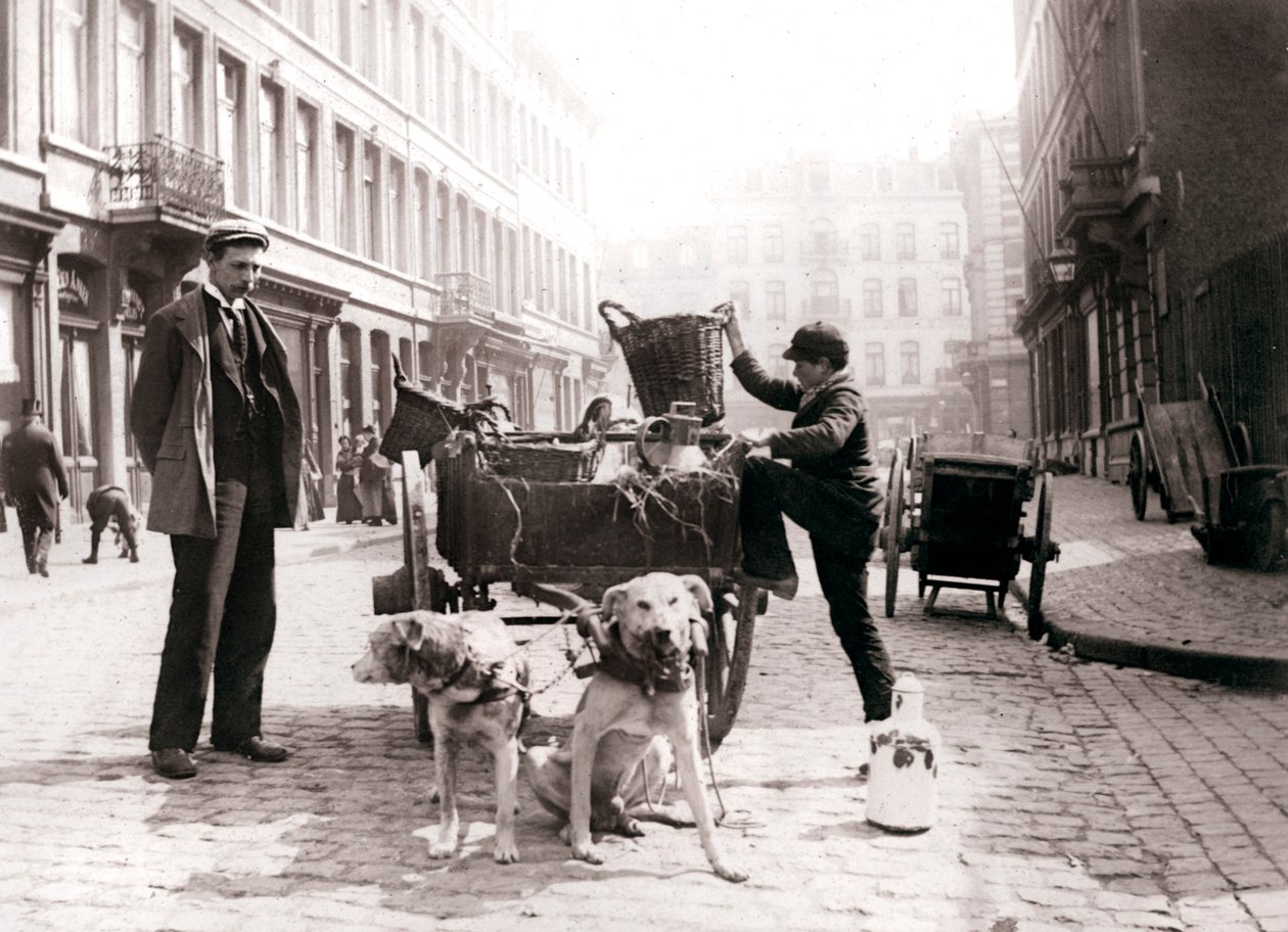 Fiú kutyakocsival, Antwerpen, 1898. alkotó: James Batkin