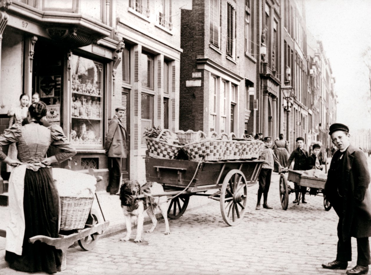 Kutyakocsi, Antwerpen, 1898. alkotó: James Batkin