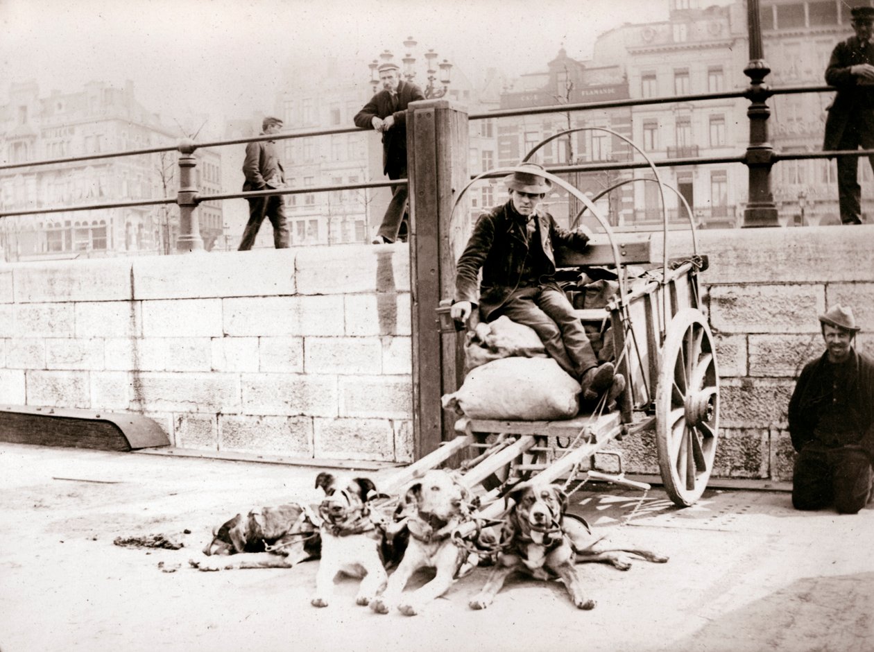 Ember kutyakocsival, Antwerpen, 1898. alkotó: James Batkin