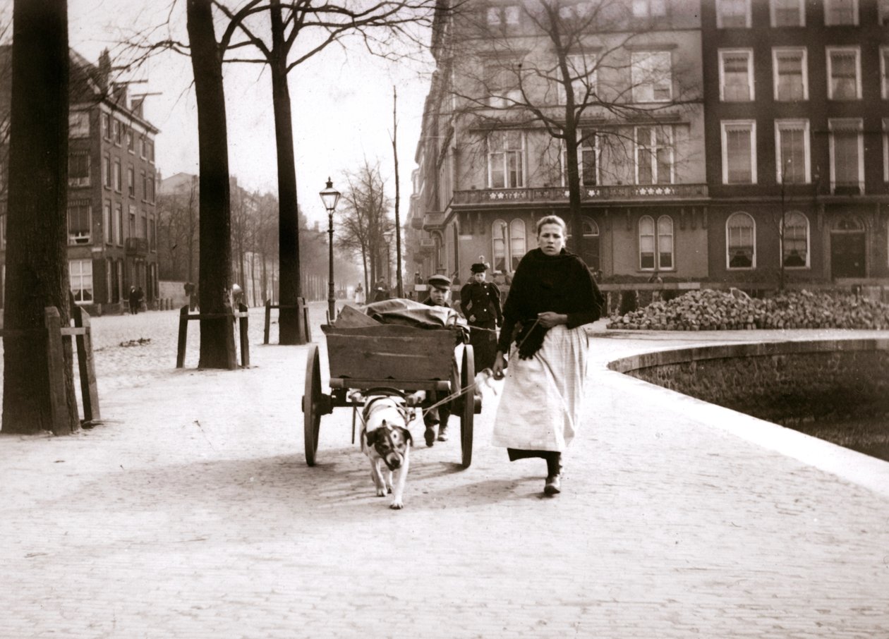 Nő kutyakocsival, Rotterdam, 1898. alkotó: James Batkin