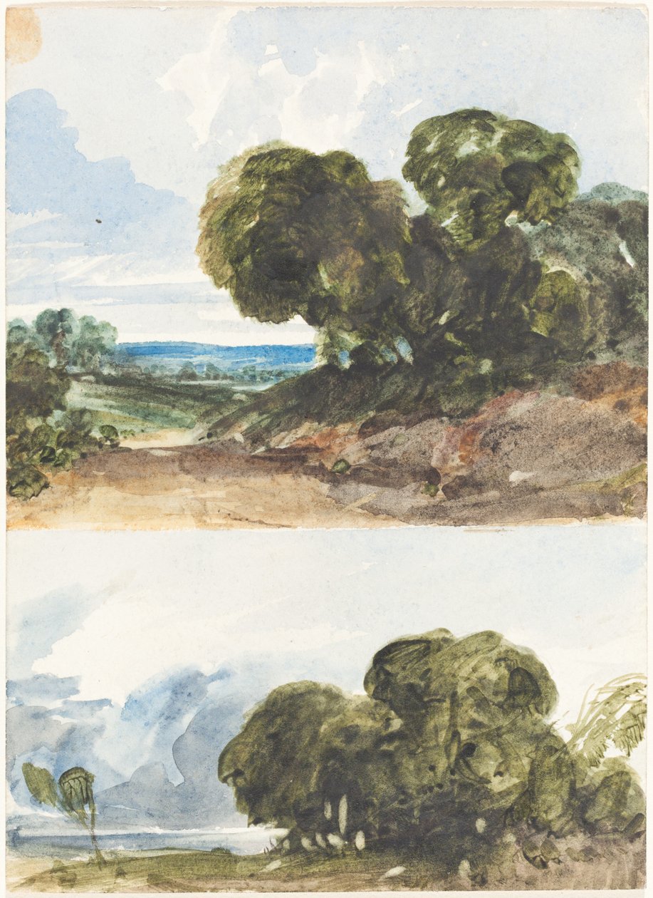 Két vázlat a fákról. alkotó: James Bulwer