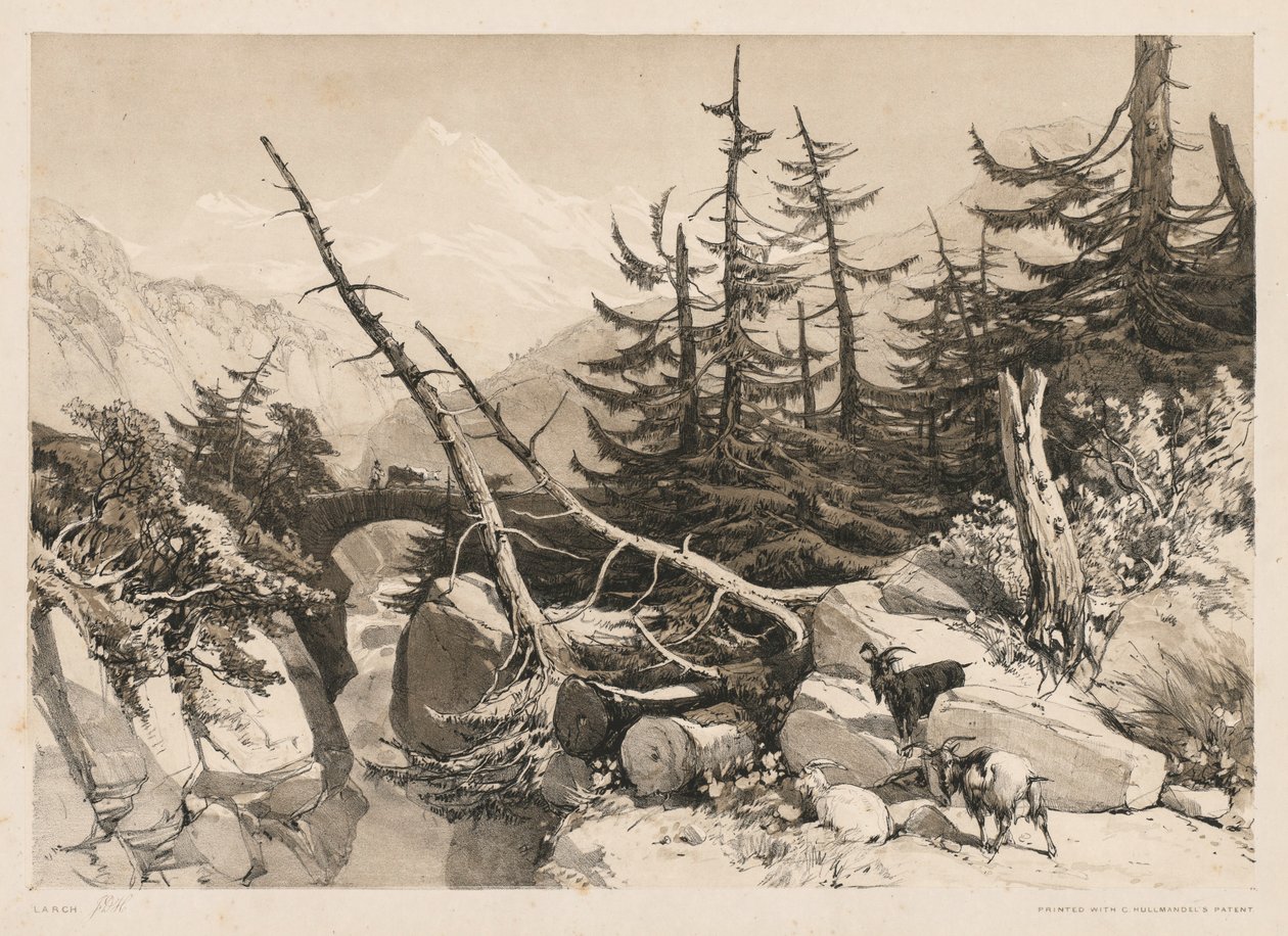 Fenyőfák és híd, 1841. alkotó: James Duffield Harding