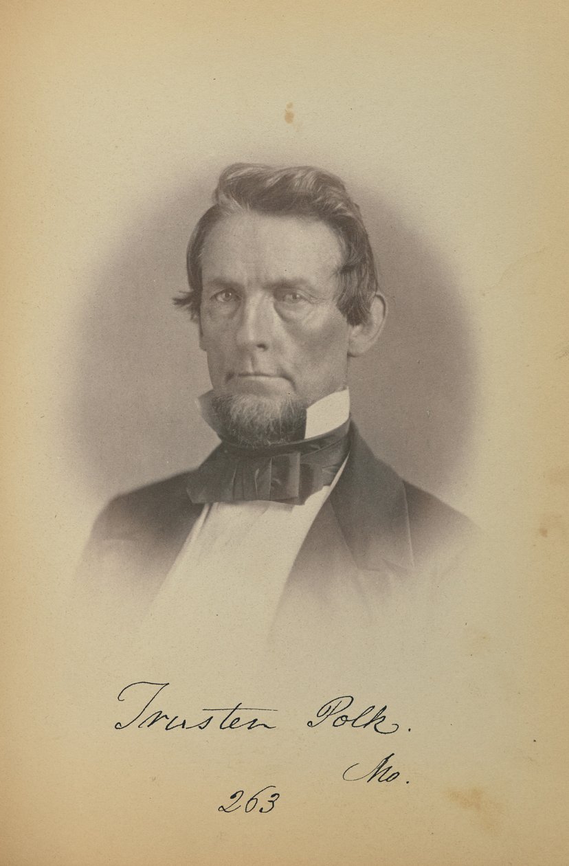 Trusten Polk alkotó: James Earle McClees