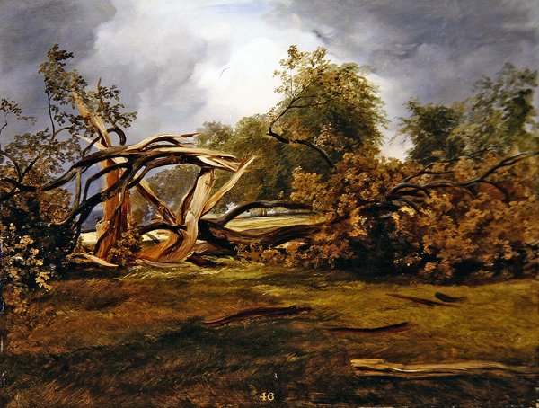 Az elpusztult tölgy (olaj, tábla) alkotó: James Giles
