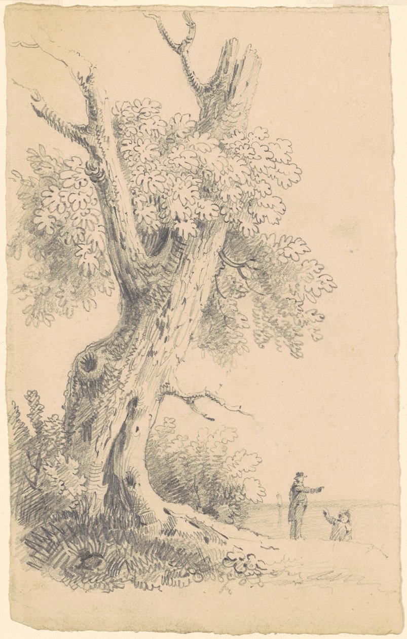 Fa a part közelében alkotó: James Goodwyn Clonney