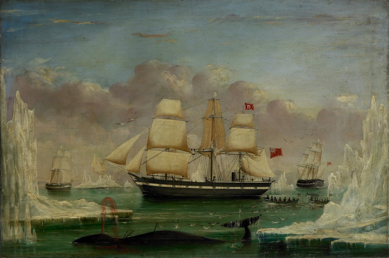 The Whaler 