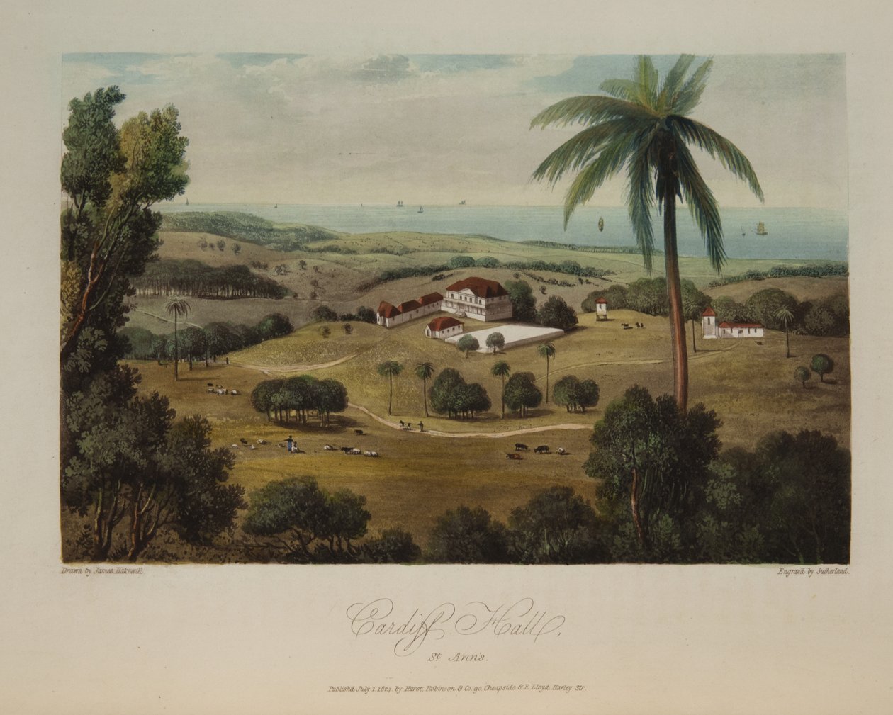 Cardiff Hall, St. Anns alkotó: James Hakewill