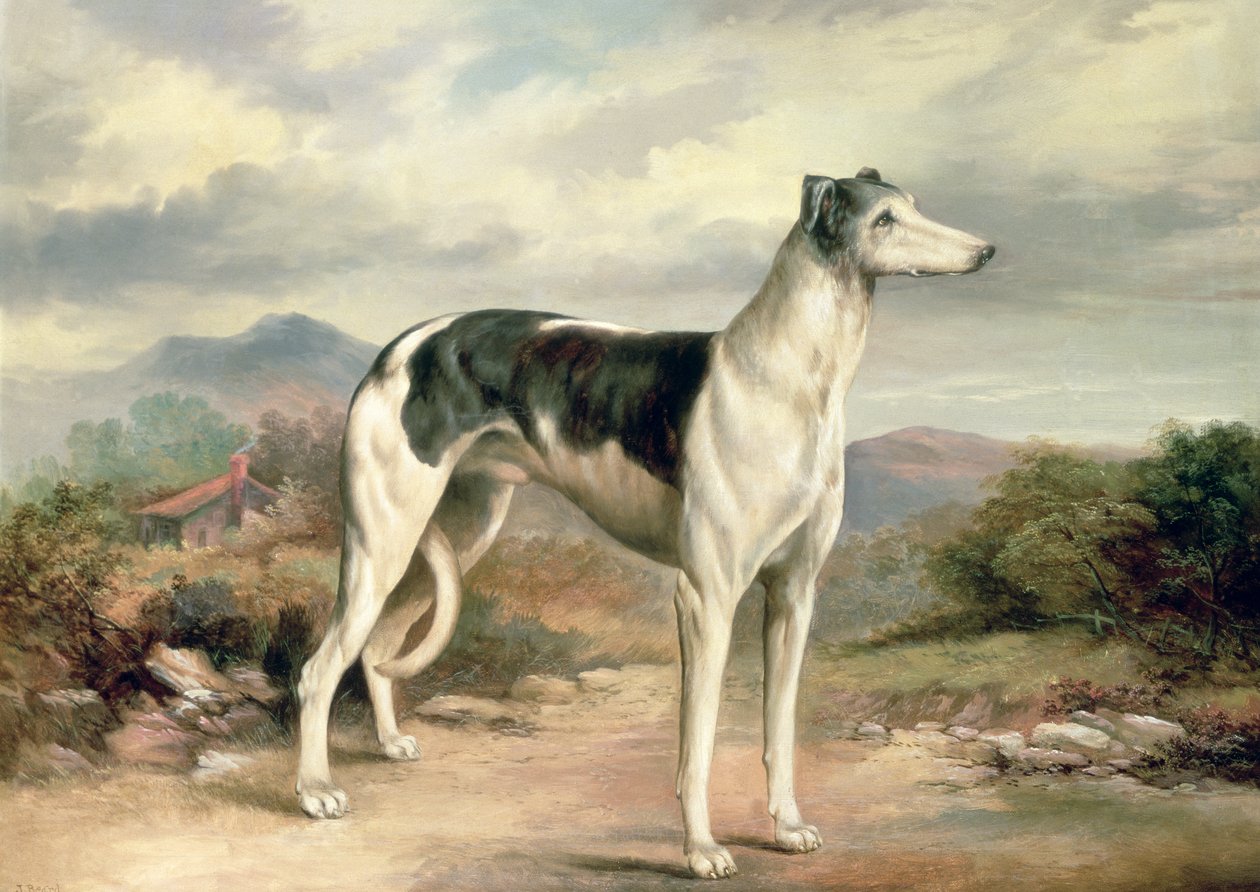 Agár dombos tájon alkotó: James Henry Beard