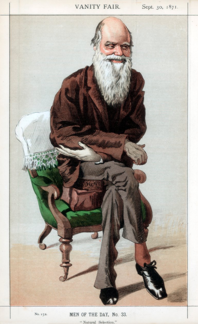Természetes kiválasztás, 1871. alkotó: James Jacques Joseph Tissot