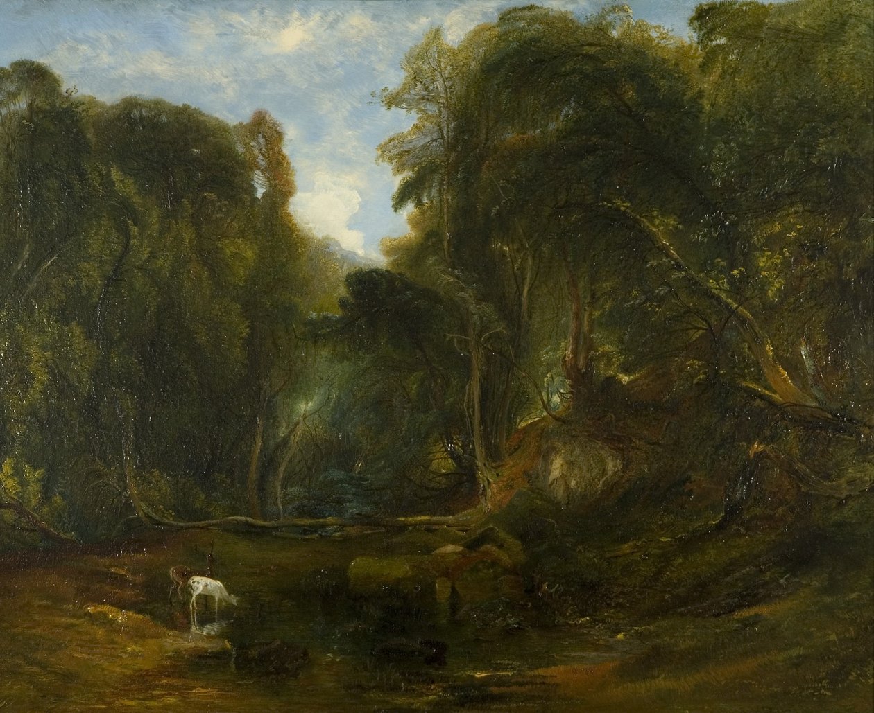 Nightingale Valley alkotó: James Johnson