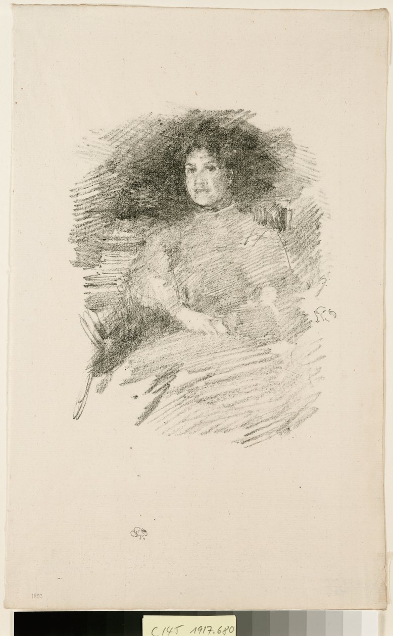 Tűzfény alkotó: James McNeill Whistler