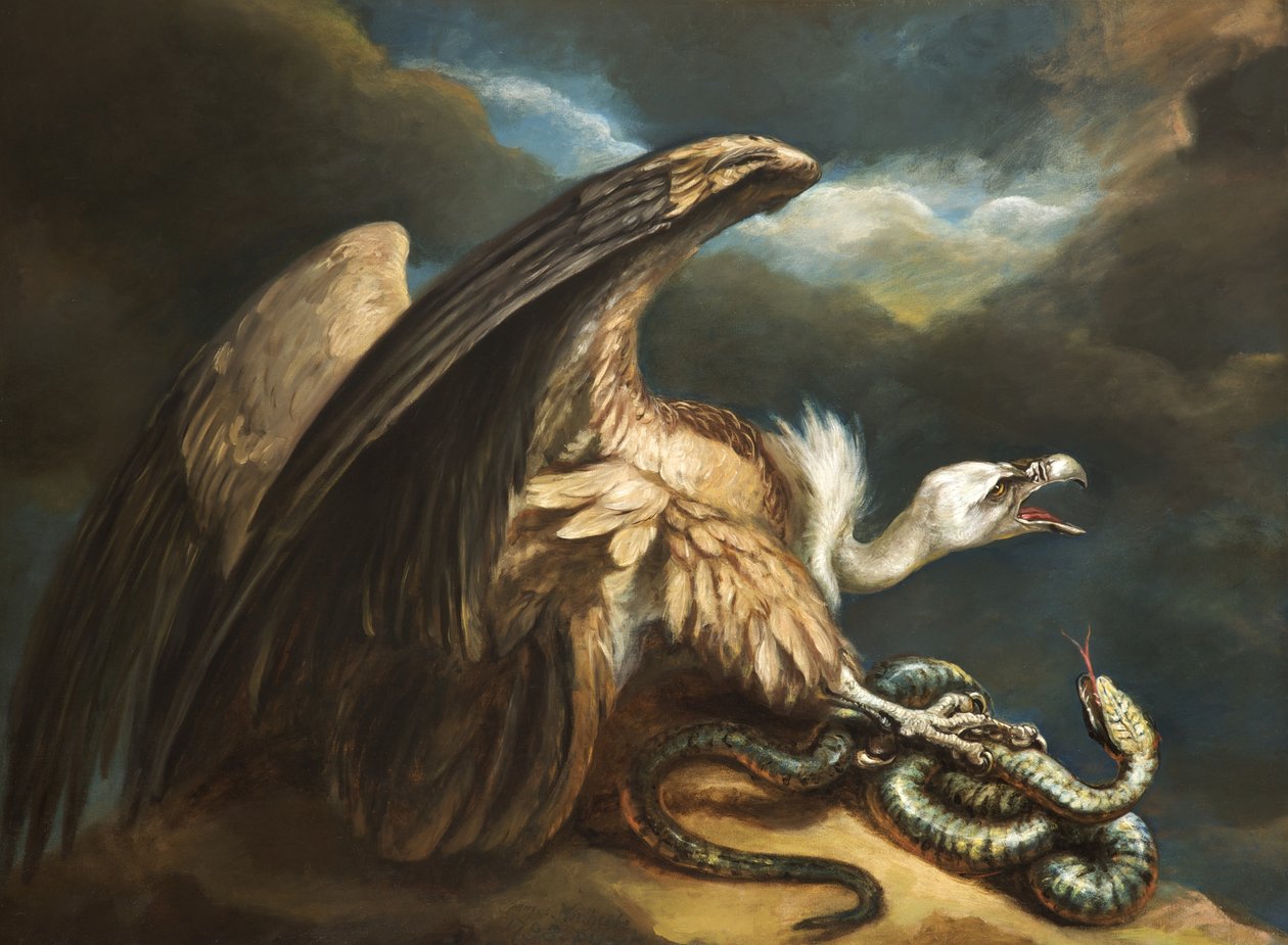 Keselyű és kígyó, 1798 alkotó: James Northcote