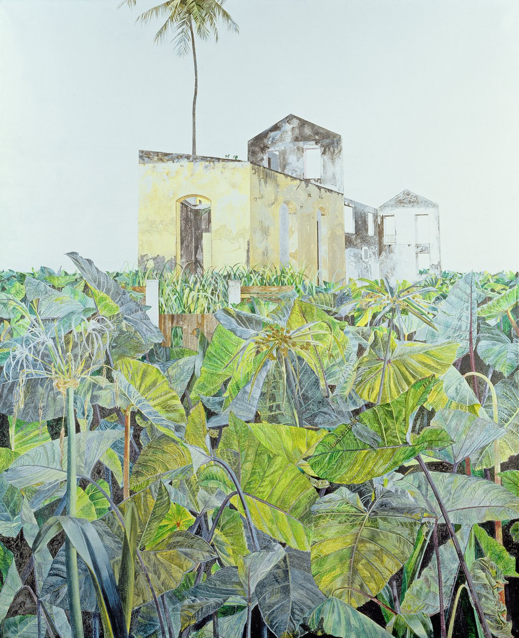 Rom a mocsárban, Haiti, 1971 alkotó: James Reeve