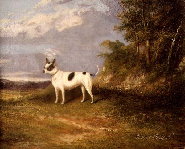 Terrier egy tájban alkotó: James Senior Clark