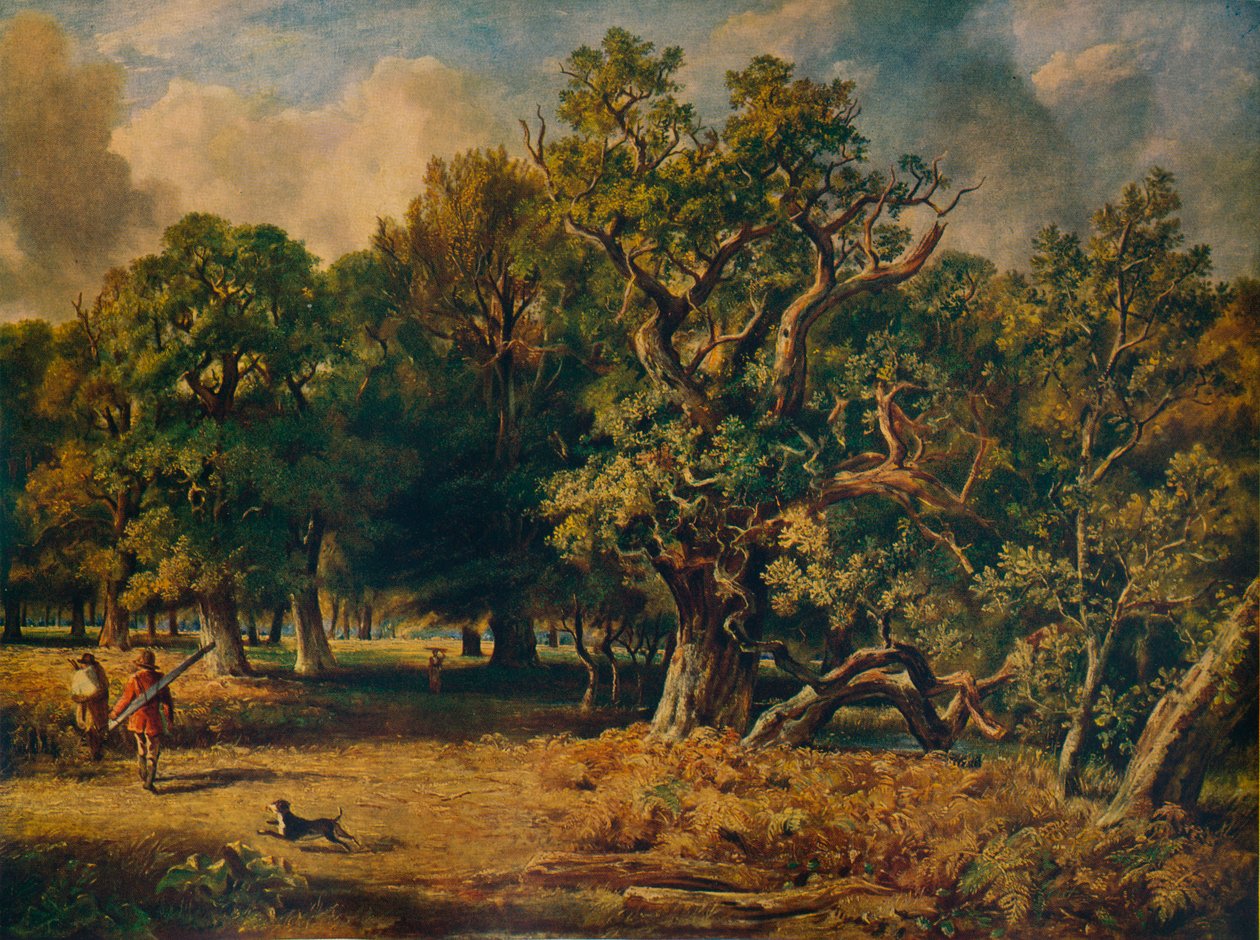 Windsori erdő, 1835 alkotó: James Stark