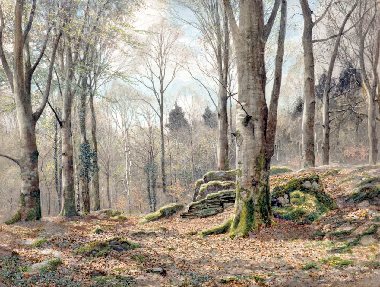 Egy walesi erdő (akvarell) alkotó: James Thomas Watts