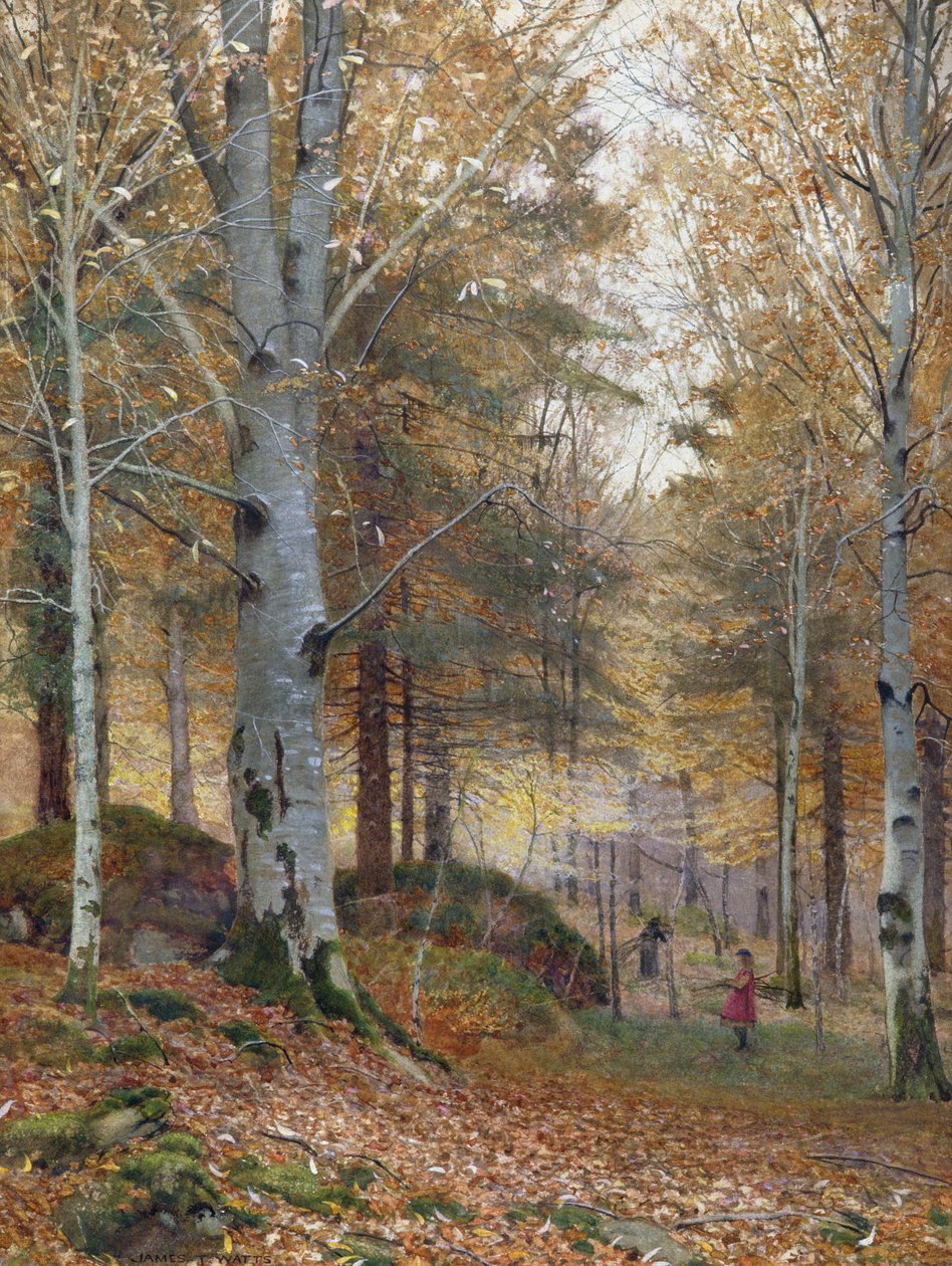 Ősz az erdőben alkotó: James Thomas Watts