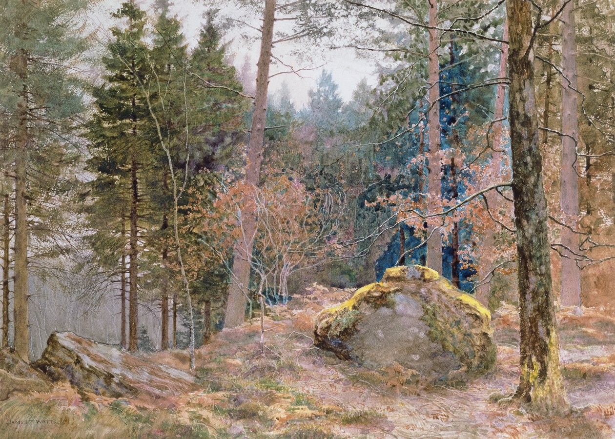 Walesi erdőben, télen alkotó: James Thomas Watts