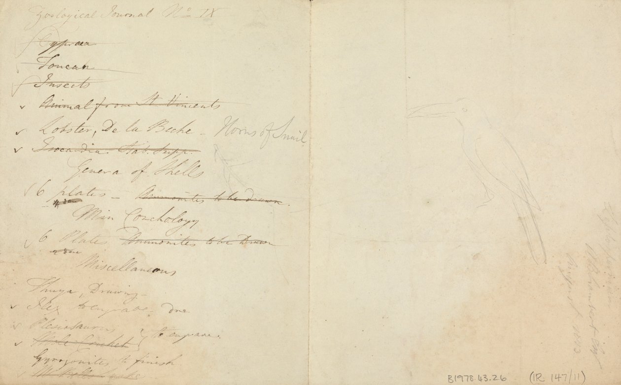 Három tukán alkotó: James de Carle Sowerby