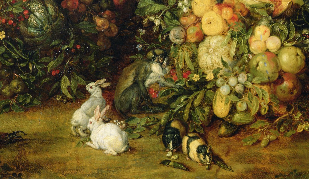 Szűz és gyermek gyümölcs- és virágfüzérben, állatok részlete, 1614-18 (36912 részlet) alkotó: Jan and Rubens, P.P. Brueghel