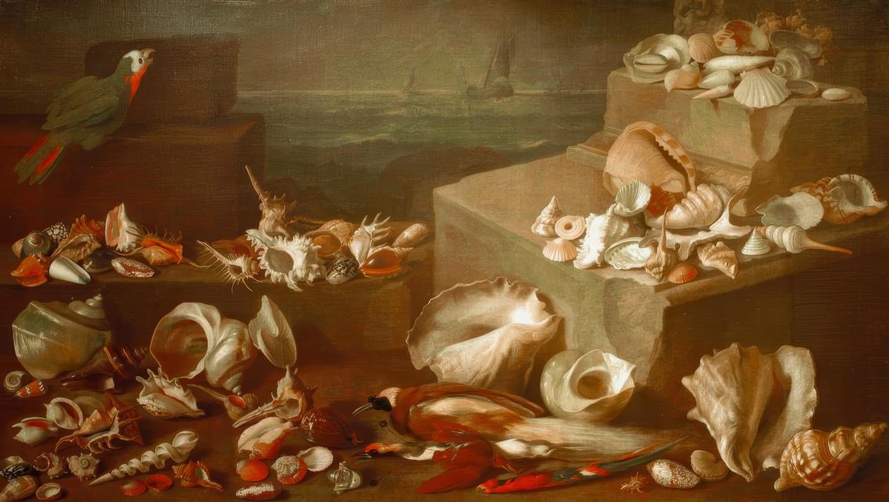Csendélet csigákkal és kagylókkal alkotó: Jan Davidsz de Heem