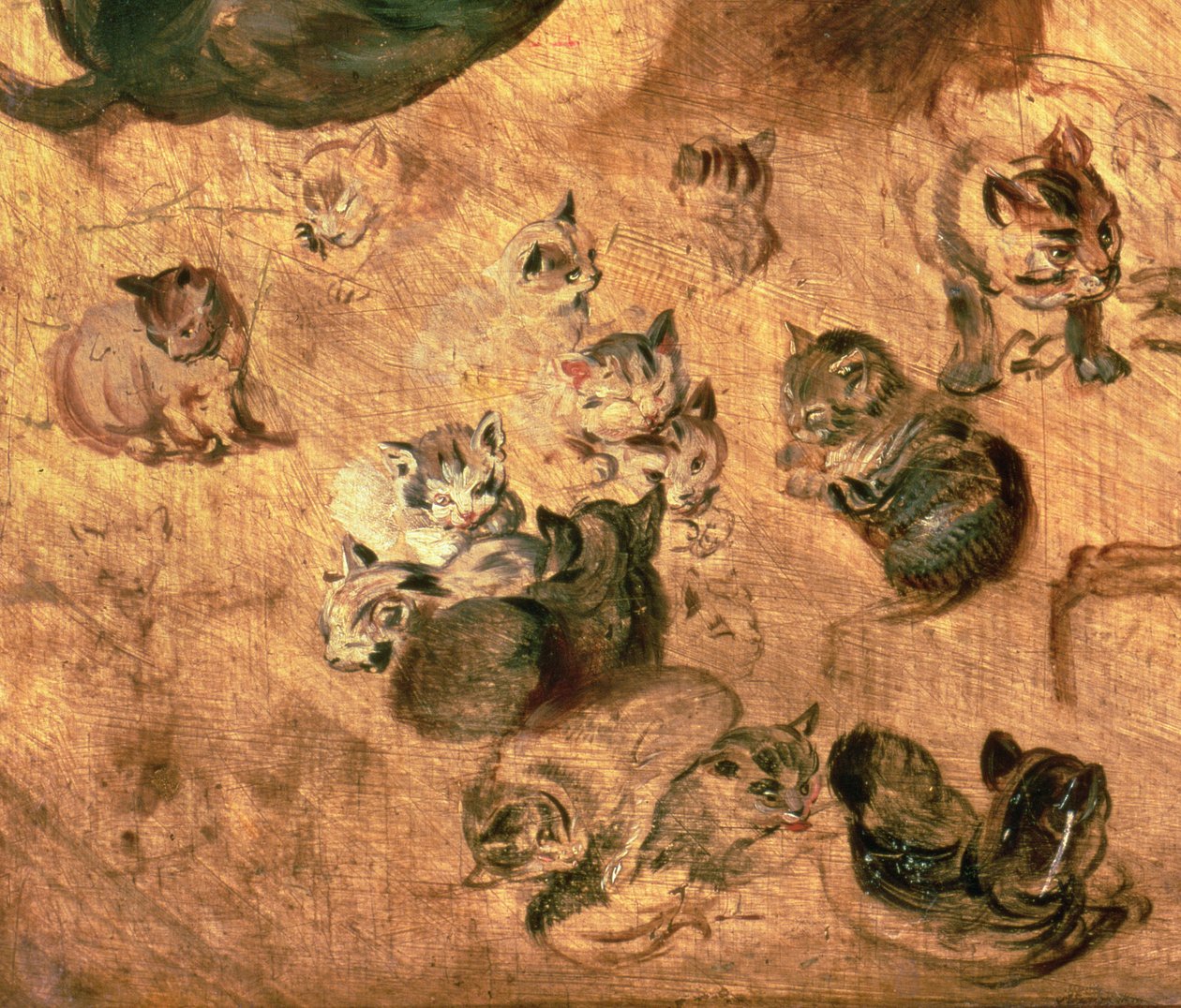 Tanulmány macskákról, 1616 (65879 részlet) alkotó: Jan the Elder Brueghel
