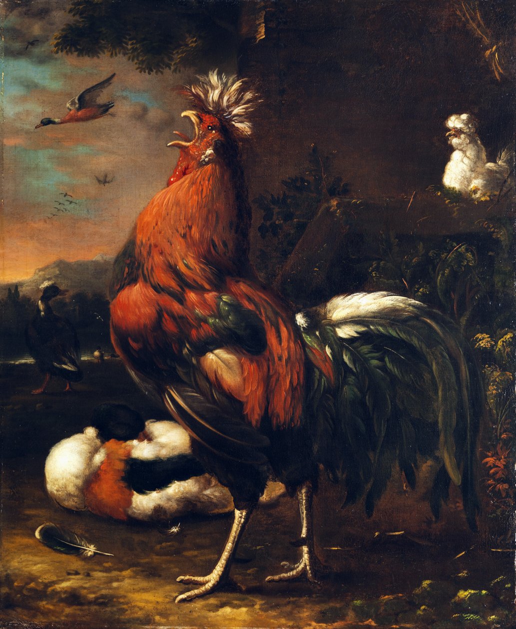 Büszke kakas alkotó: Jan van Oolen