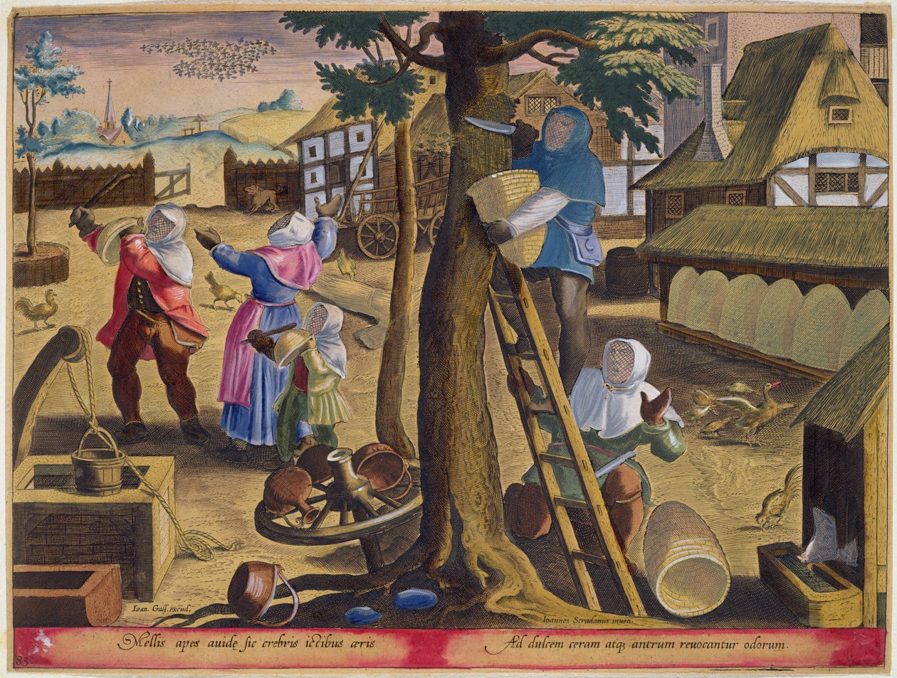 Méhészek, 83. tábla a „Venationes Ferarum, Avium, Piscium” (Vadászatról: Vadállatok, madarak, halak) anyagából, Jan Collaert (1566-1628) metszetével, az amszterdami Phillipus Gallaeus kiadásában (kézzel színezett e alkotó: Jan van der Straet