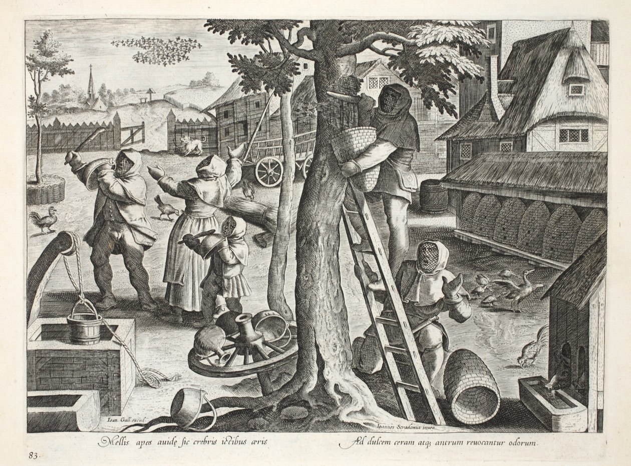 Méhészek, 83. tábla, illusztráció a „Venationes, Ferarum, Avium, Piscium” (Vadászatról: Vadállatok, madarak, halak) könyvéből, metszett: Jan Collaert (1566-1628), pub. Írta: Phillipus Gallaeus, Amszterdam (engra alkotó: Jan van der Straet