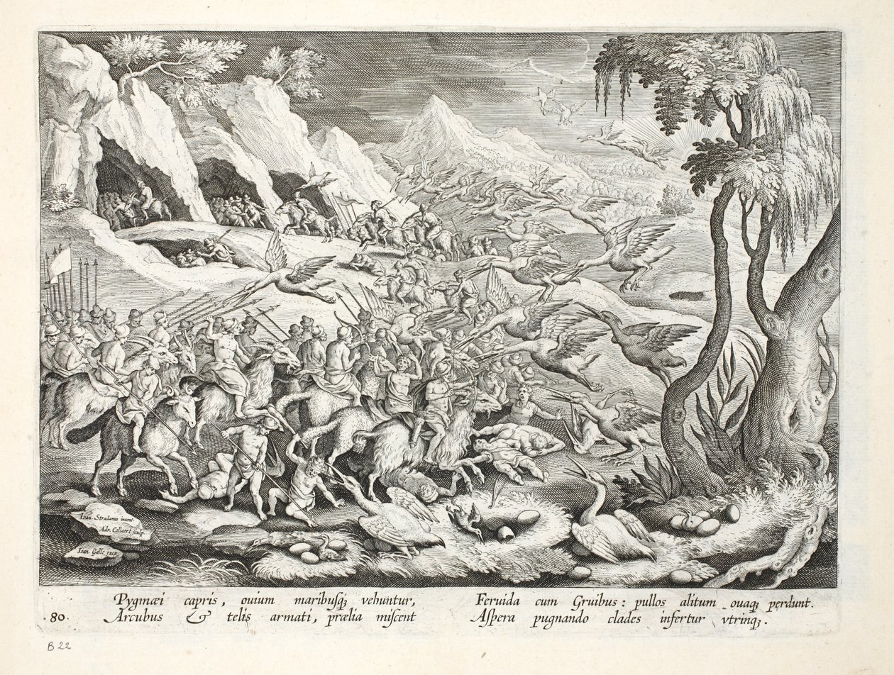 Crane-ra vadászó törpmeszek kecskéken, illusztráció a „Venationes, Ferarum, Avium, Piscium” (A vadászatról: Vadállatok, madarak, halak) rajzából, Jan Collaert (1566-1628), kocsma. írta: Phillipus Gallaeus, Amszter alkotó: Jan van der Straet